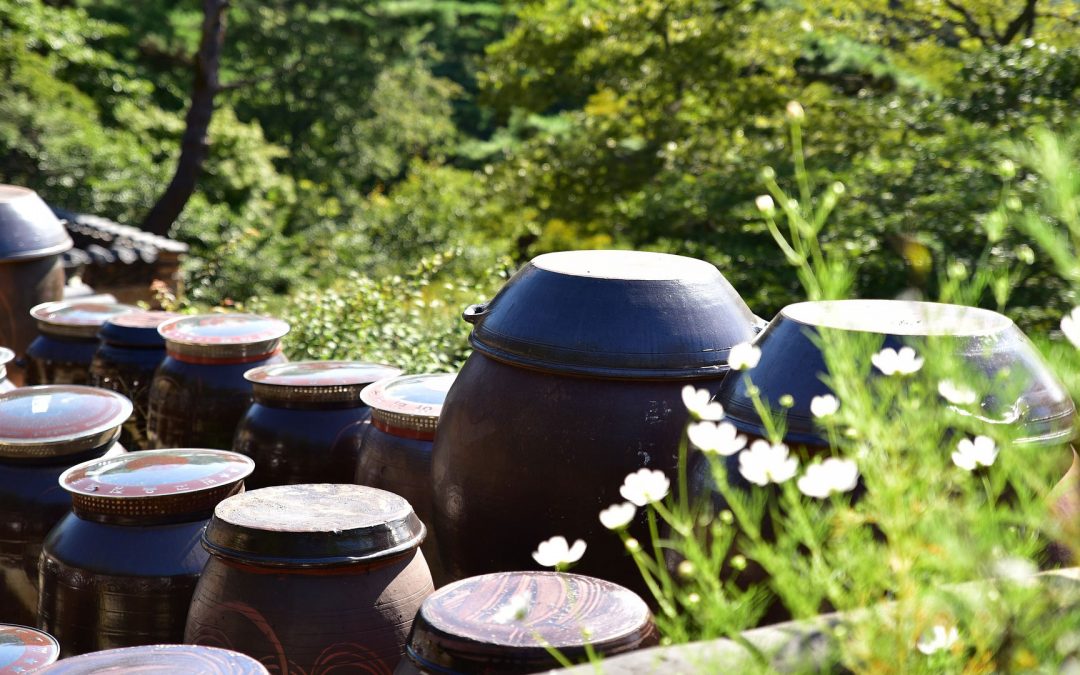 My Experience in Home to Home